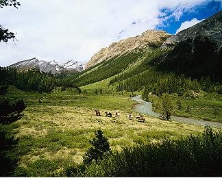 《太鼓达人》新作公开 2022年内登陆Switch发售